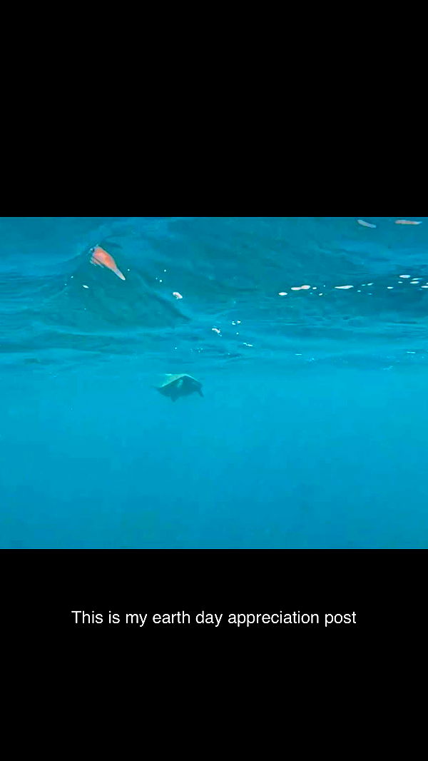 onlygracexrayne image ~ Altpins