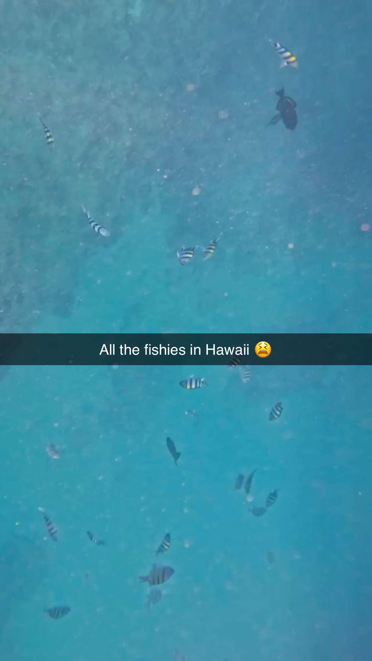 onlygracexrayne snapchat image archive image