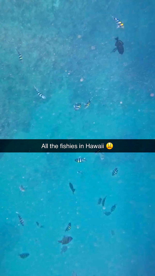 onlygracexrayne image ~ Altpins