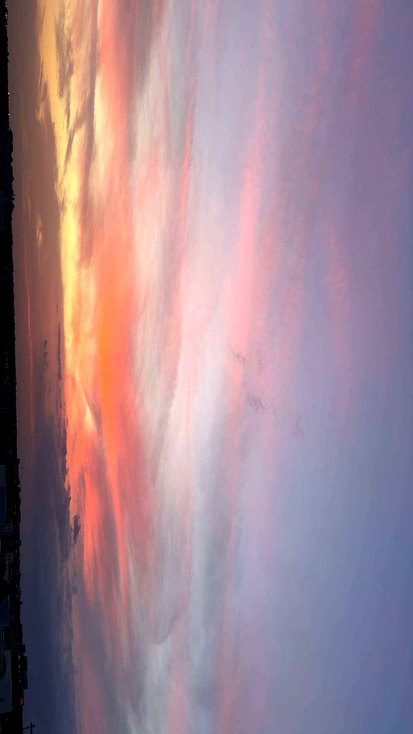 onlygracexrayne image ~ Altpins