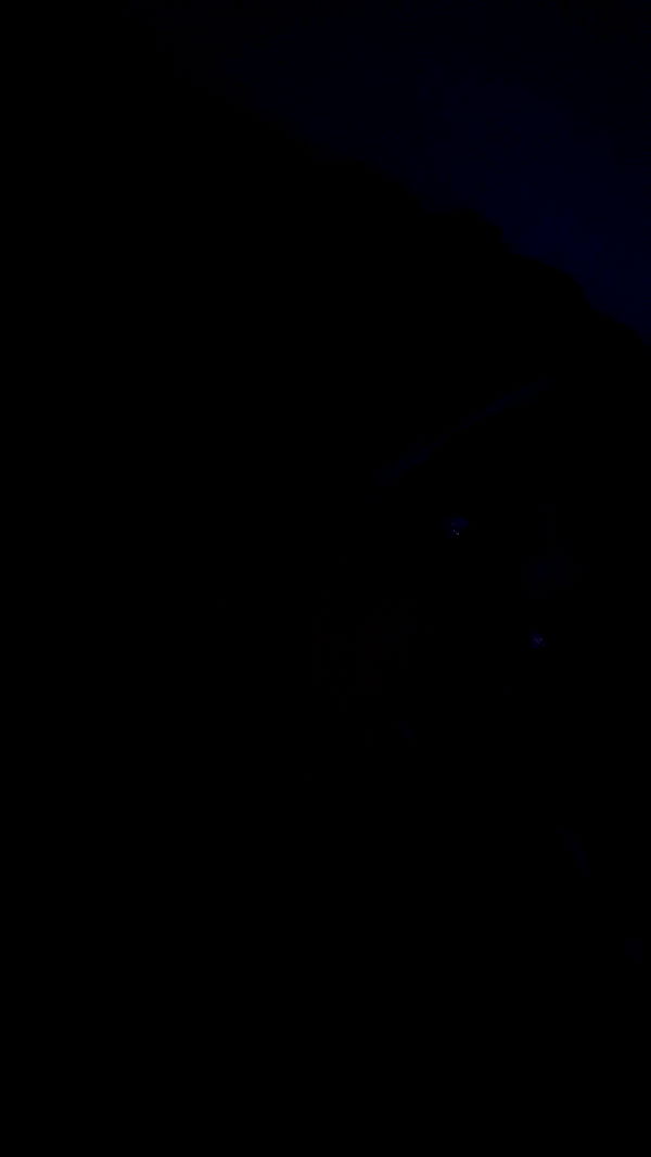 onlygracexrayne image ~ Altpins