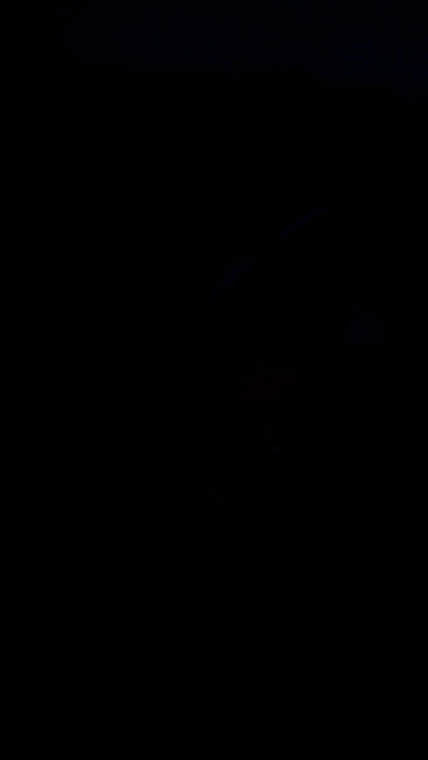 onlygracexrayne image ~ Altpins