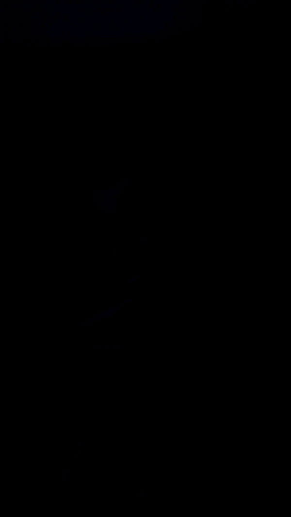 onlygracexrayne image ~ Altpins