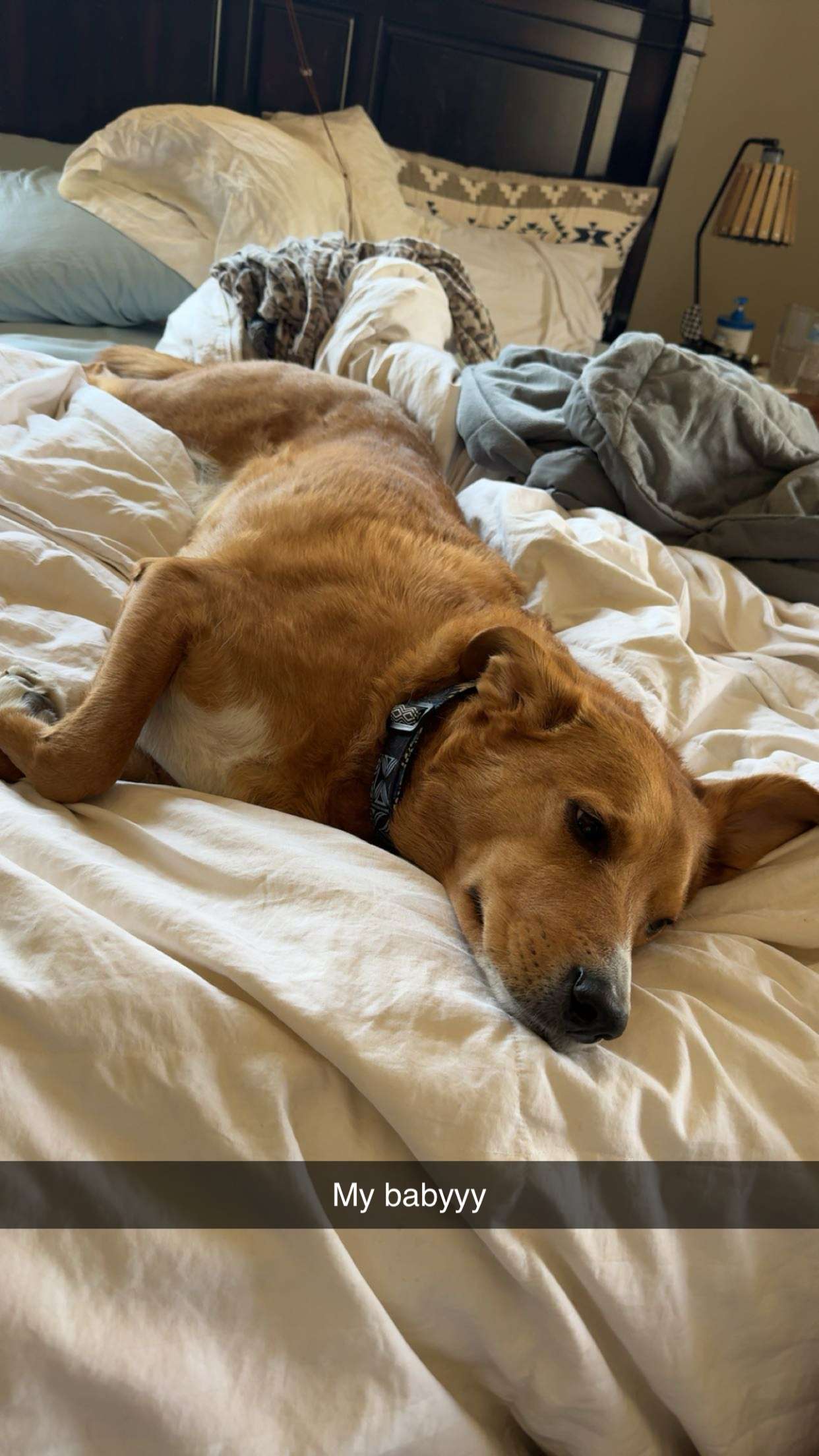 onlygracexrayne snapchat image archive image