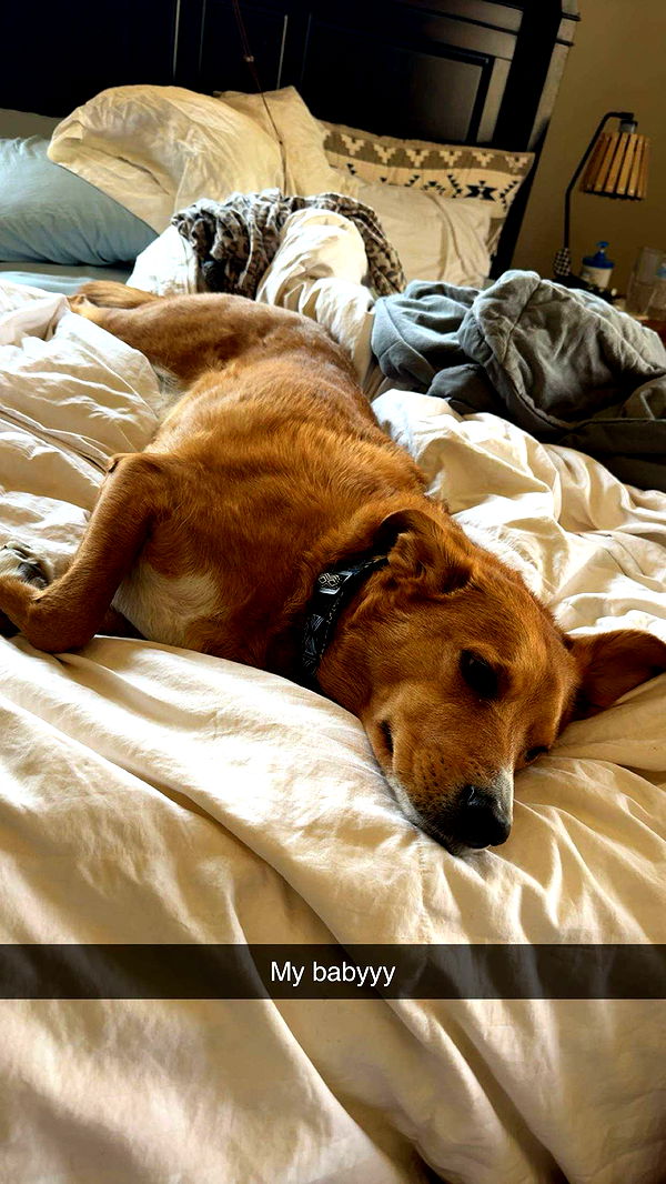 onlygracexrayne image ~ Altpins