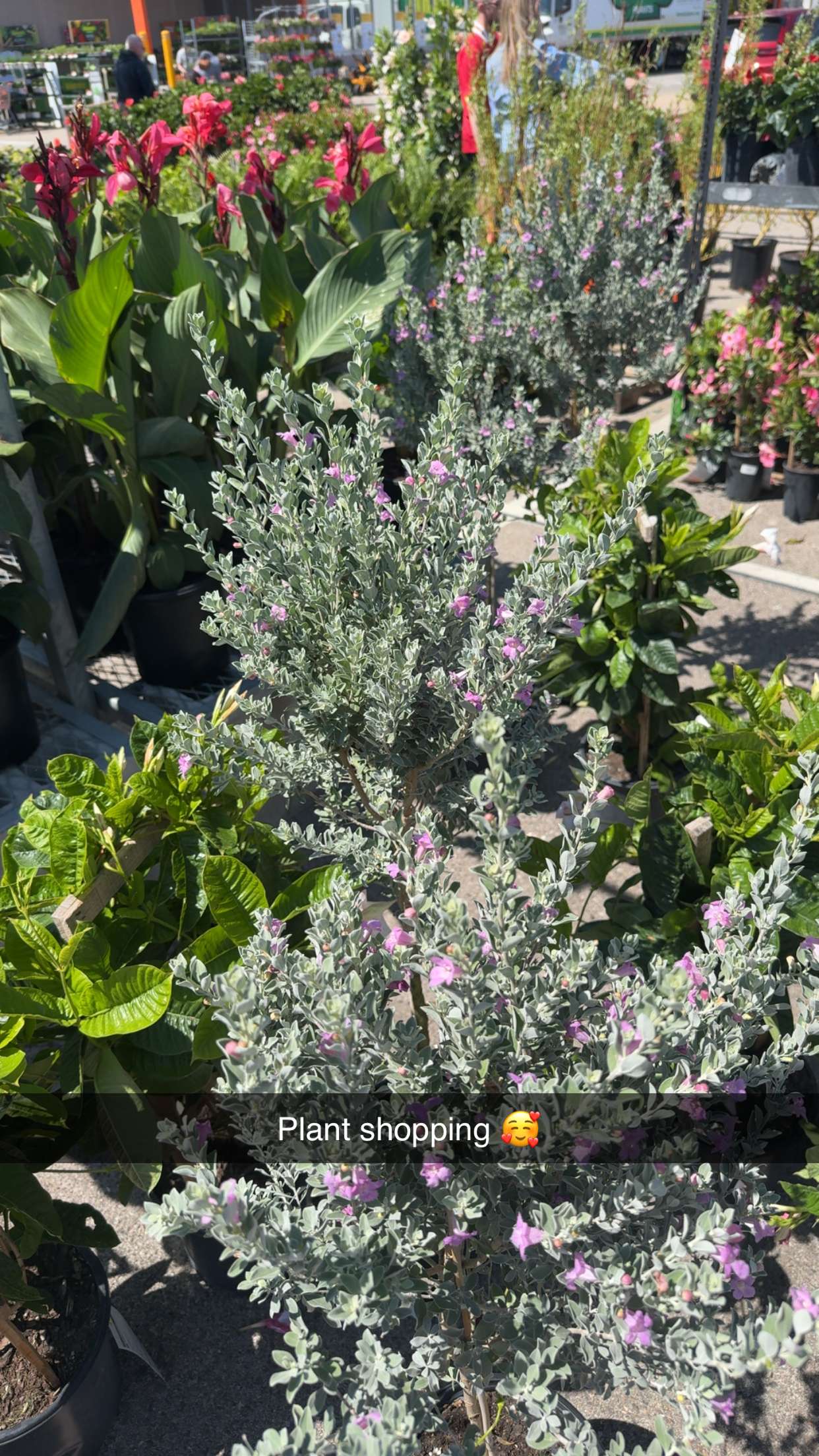 onlygracexrayne snapchat image archive image