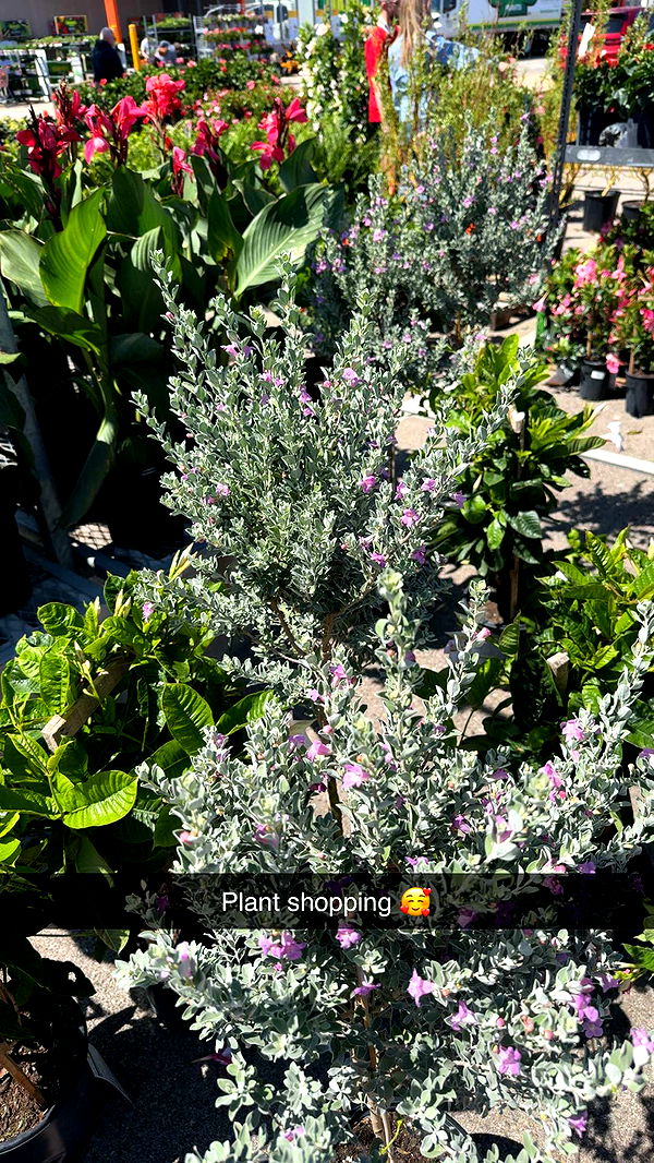 onlygracexrayne image ~ Altpins