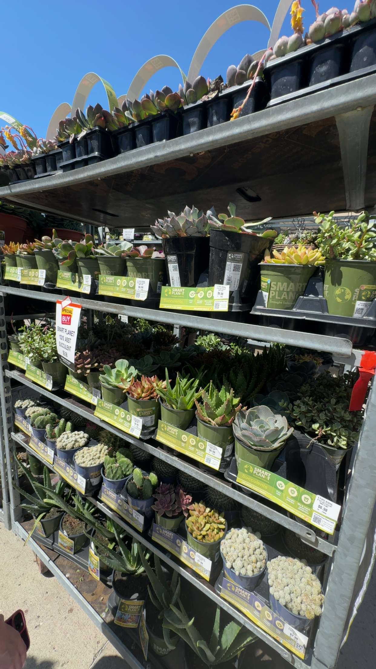 onlygracexrayne snapchat image archive image