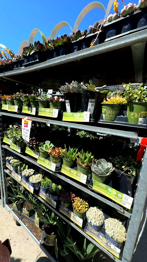 onlygracexrayne image ~ Altpins