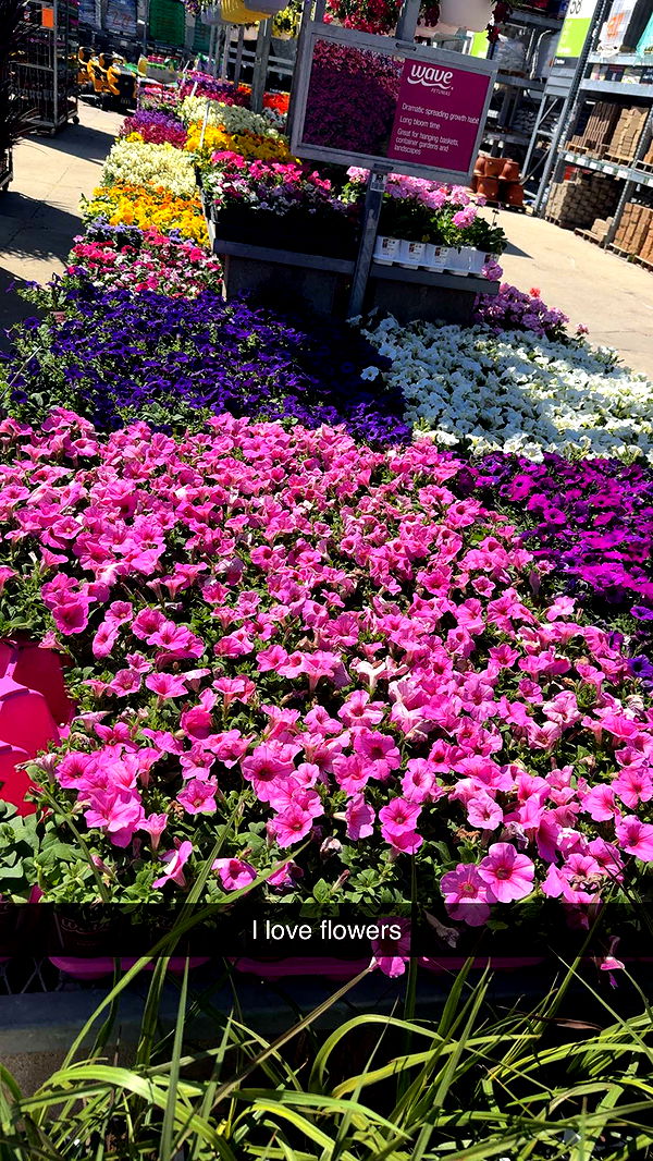 onlygracexrayne image ~ Altpins