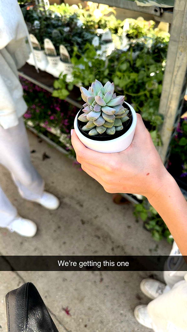 onlygracexrayne image ~ Altpins