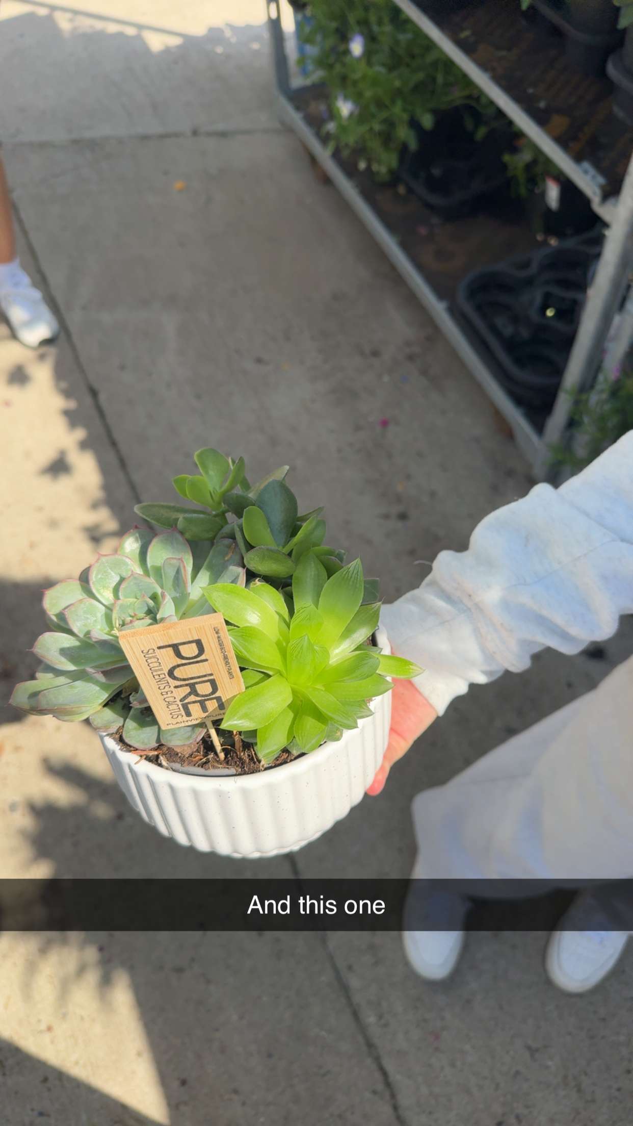 onlygracexrayne snapchat image archive image