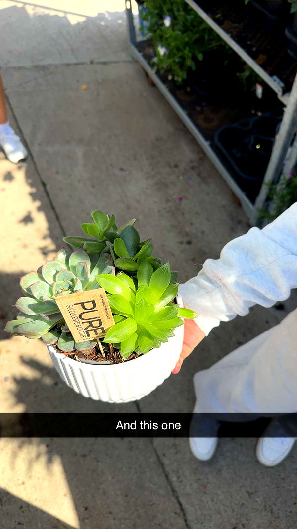 onlygracexrayne image ~ Altpins