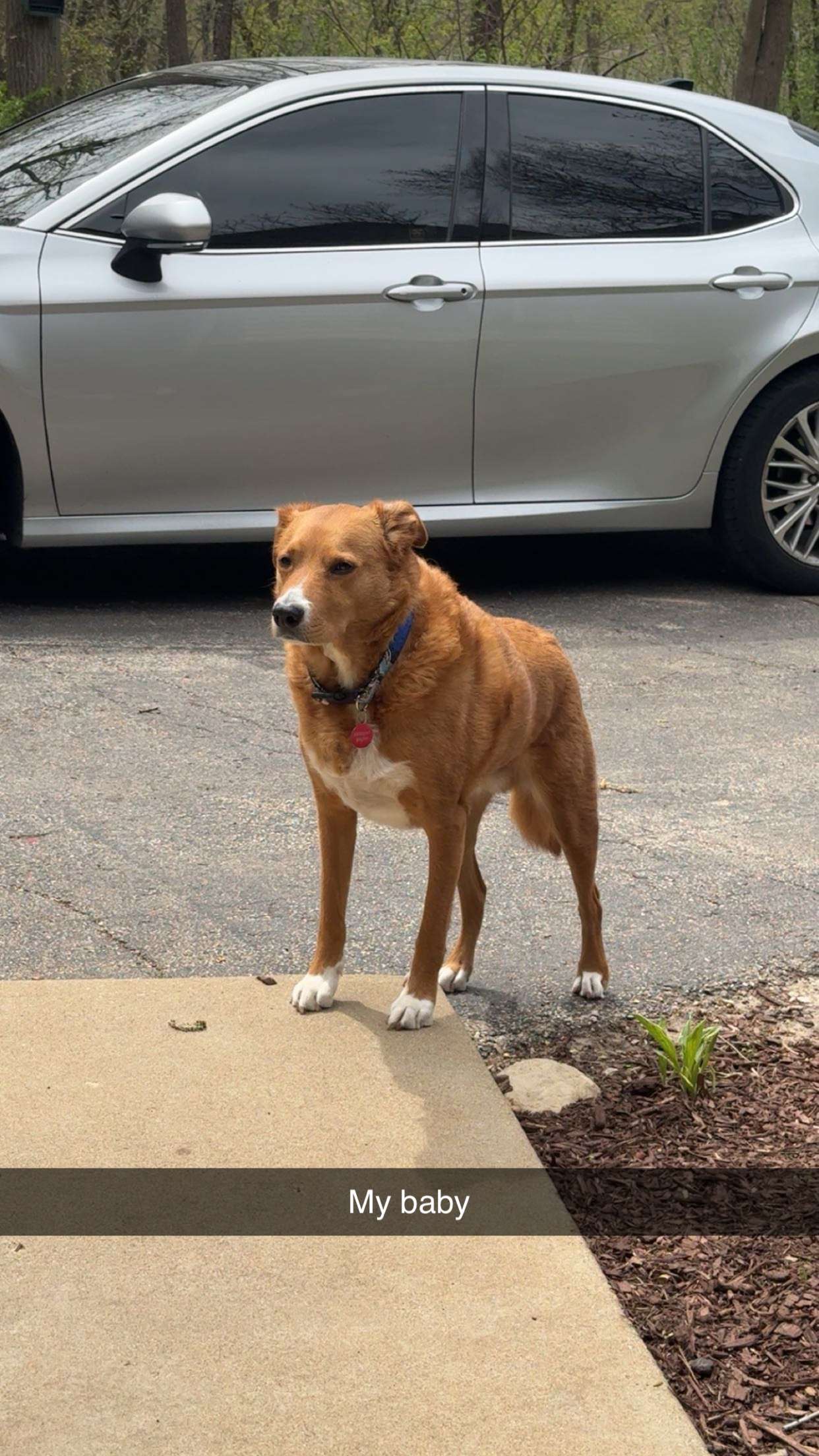 onlygracexrayne snapchat image archive image