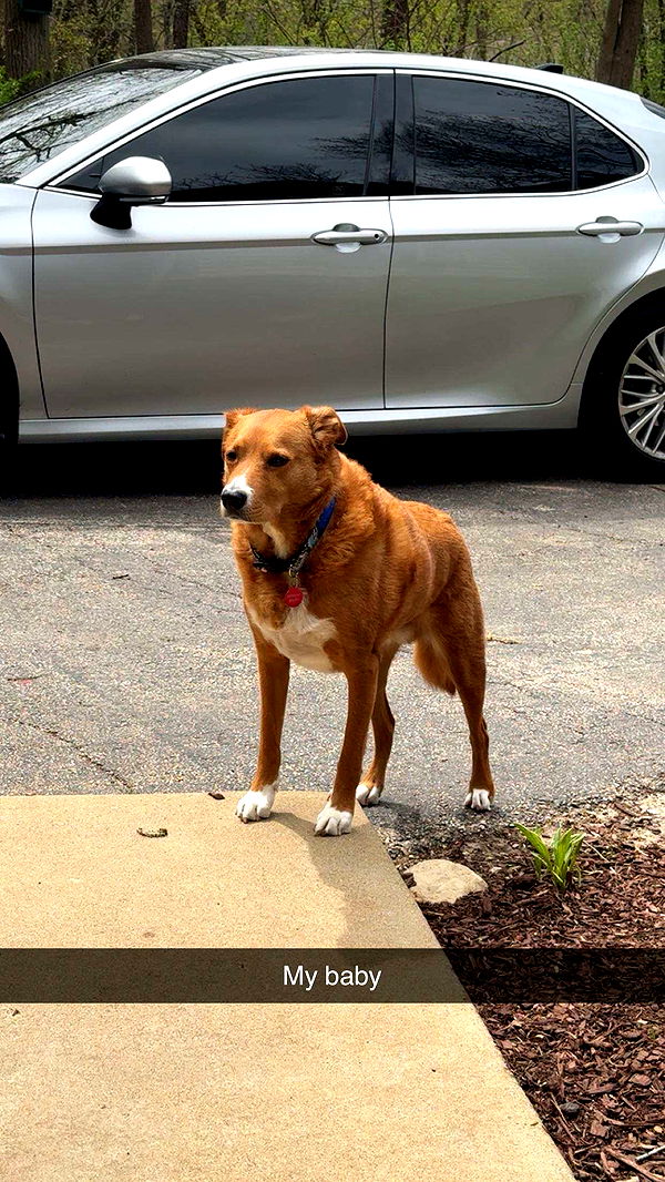 onlygracexrayne image ~ Altpins