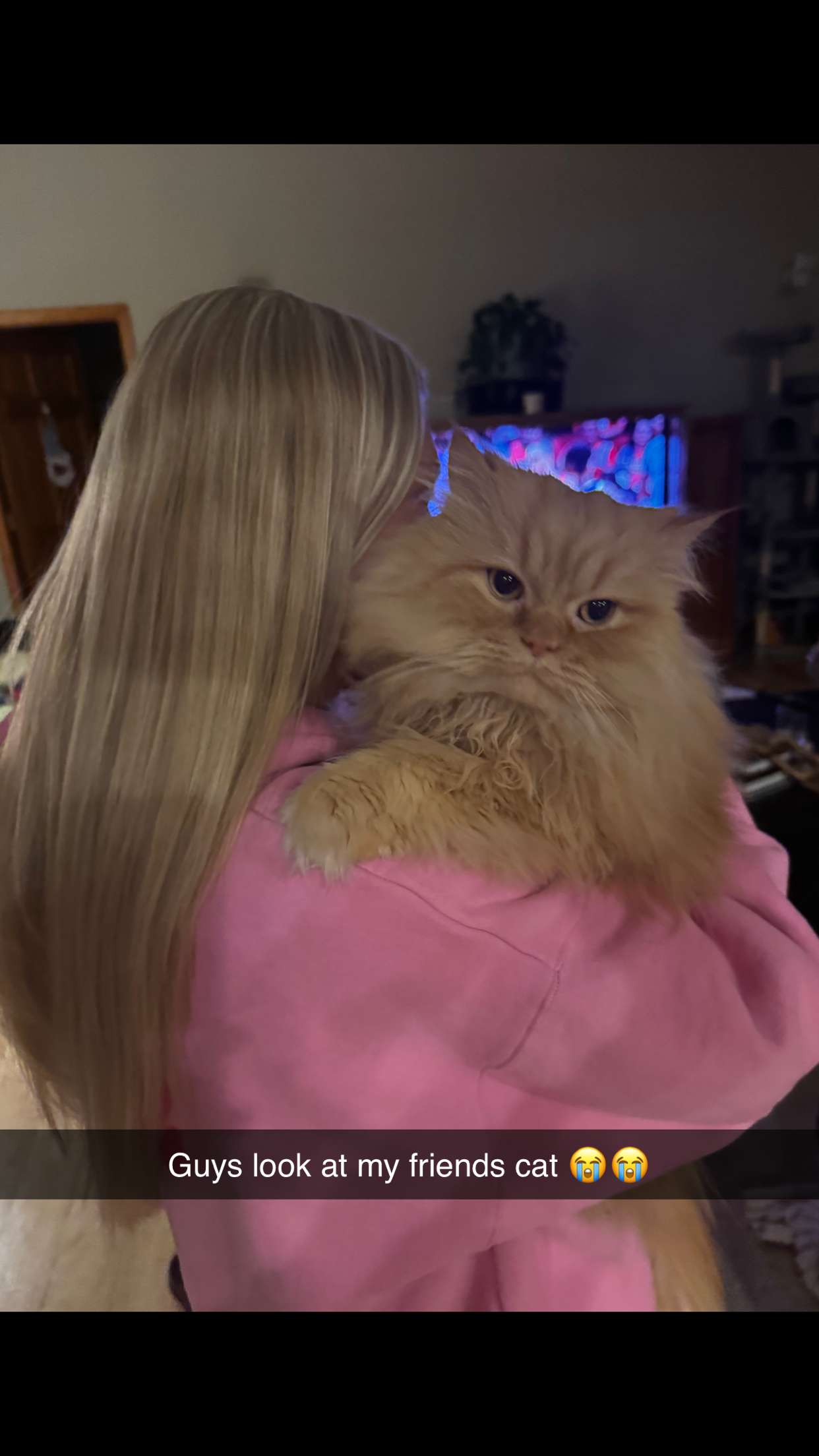 onlygracexrayne snapchat image archive image