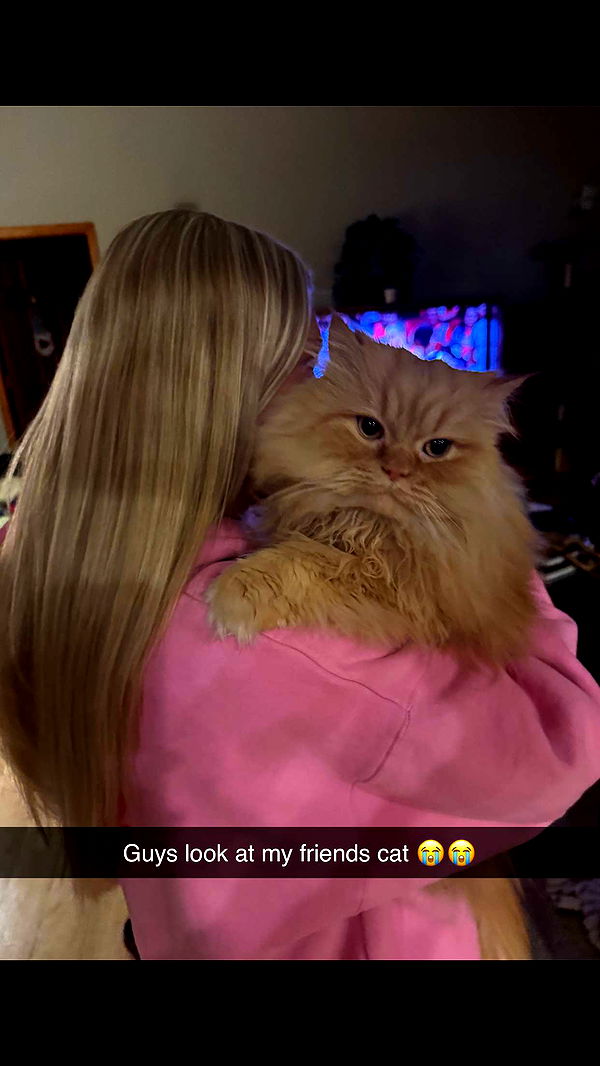 onlygracexrayne image ~ Altpins