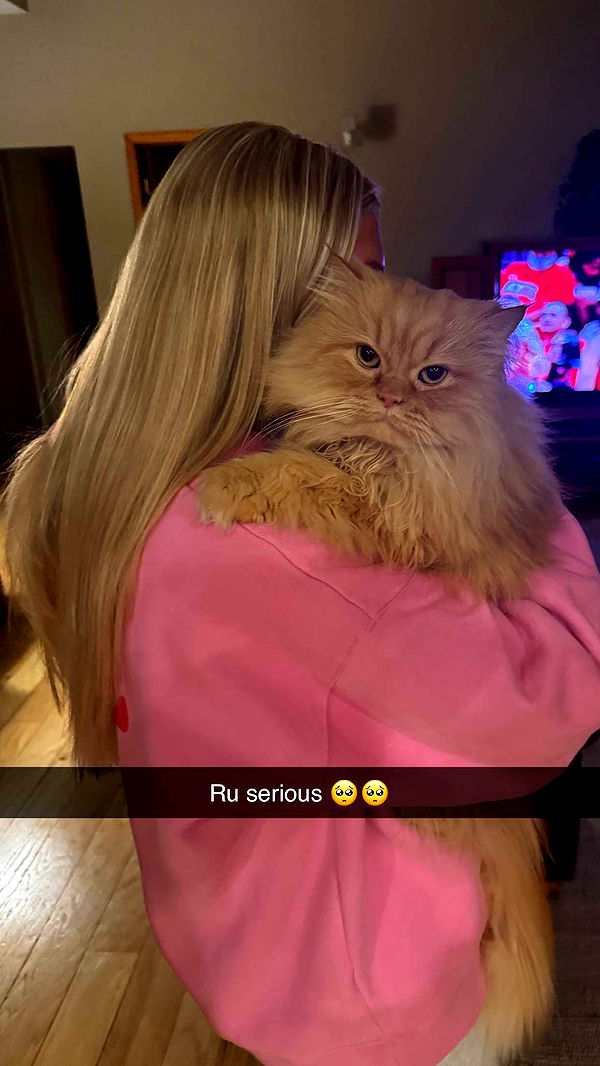 onlygracexrayne image ~ Altpins