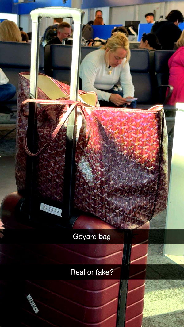 onlygracexrayne image ~ Altpins