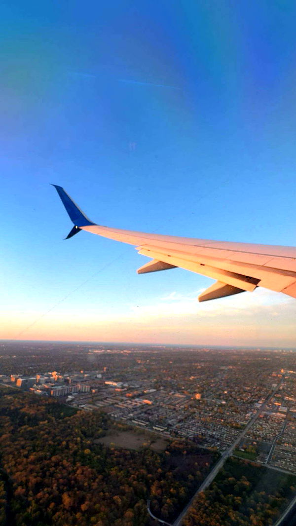 onlygracexrayne image ~ Altpins