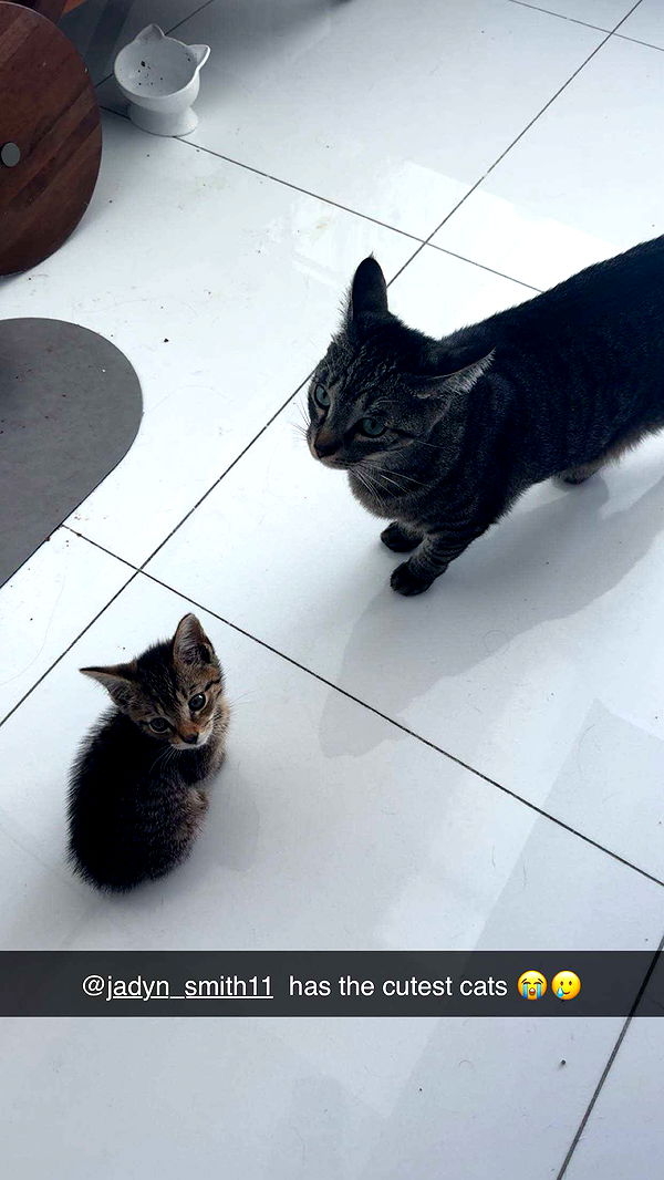 onlygracexrayne image ~ Altpins