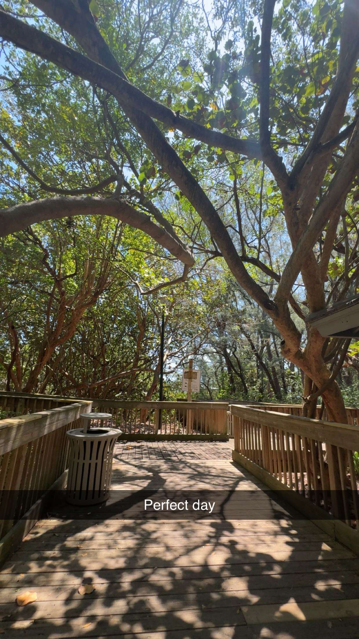 onlygracexrayne snapchat image archive image