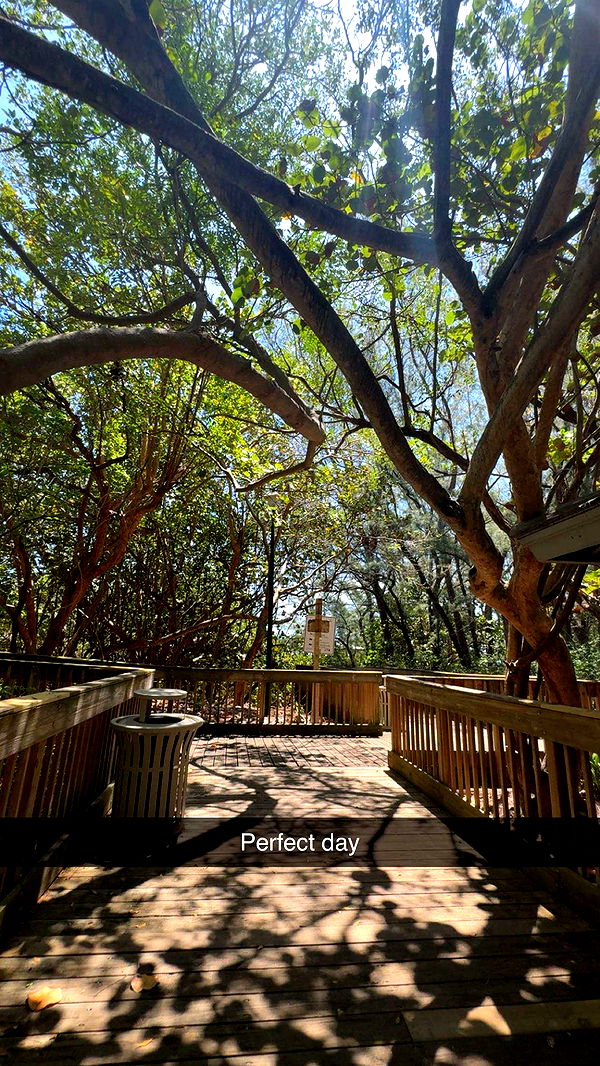 onlygracexrayne image ~ Altpins