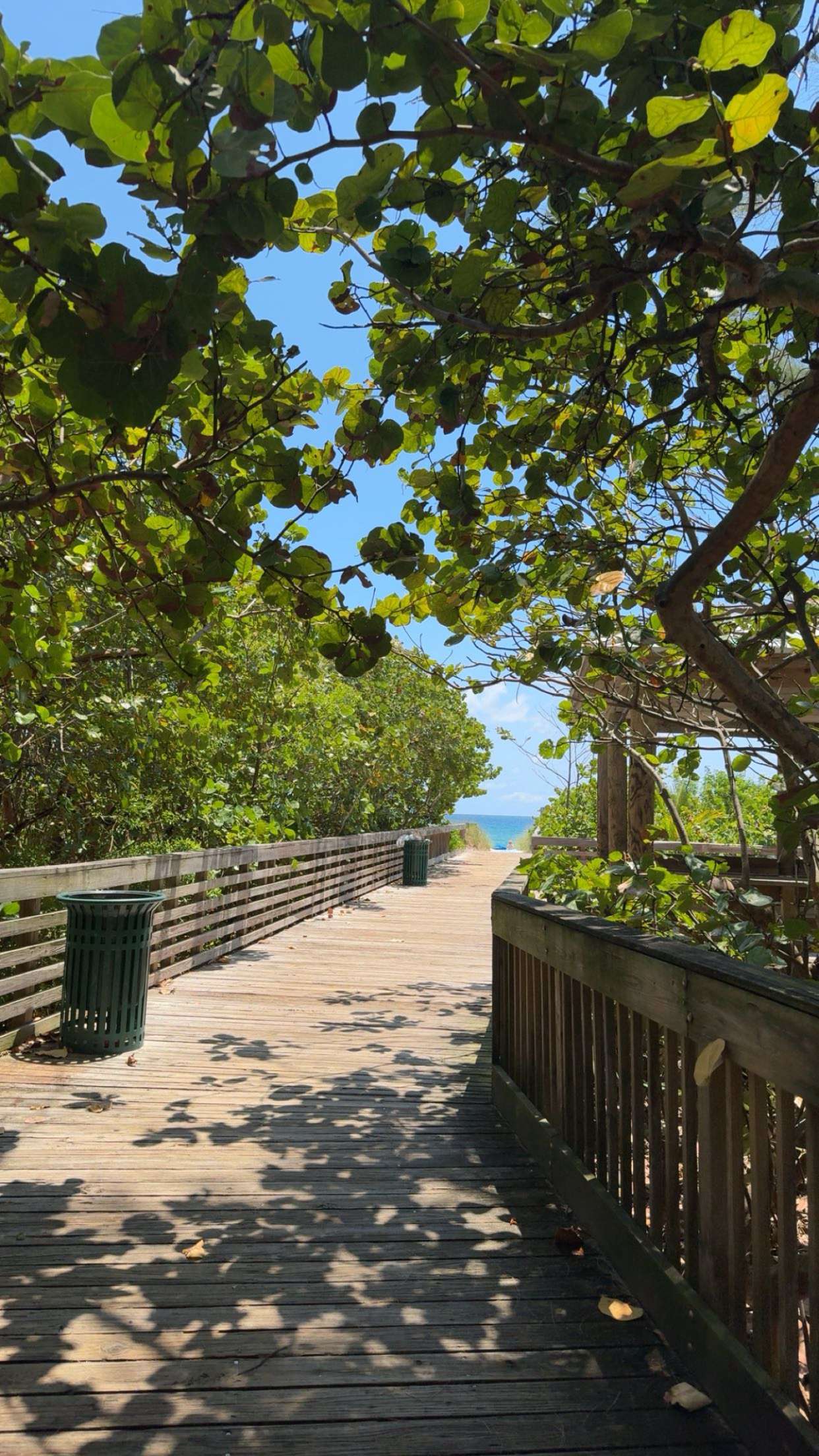 onlygracexrayne snapchat image archive image