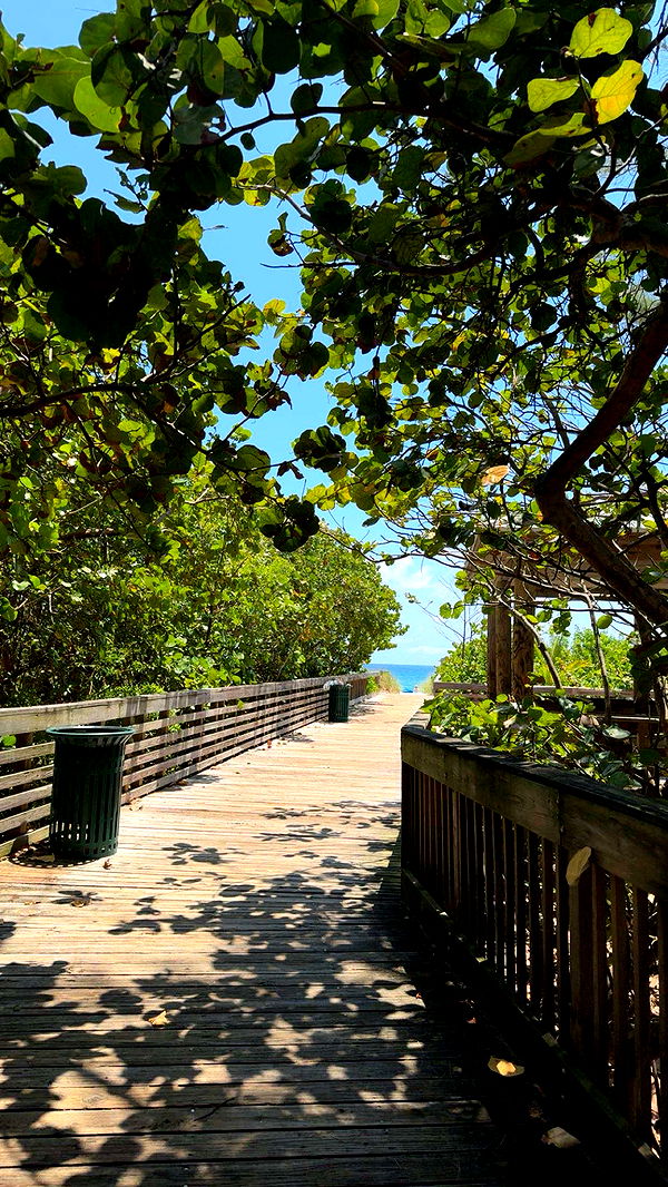 onlygracexrayne image ~ Altpins