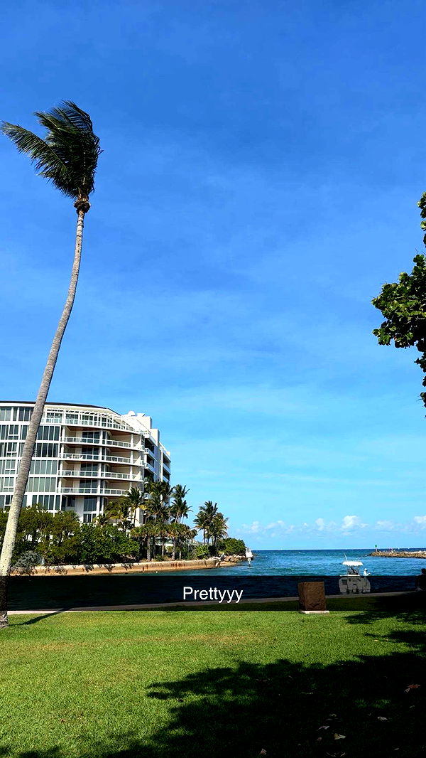 onlygracexrayne image ~ Altpins