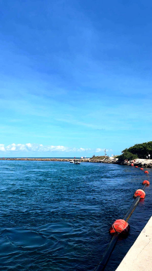 onlygracexrayne image ~ Altpins