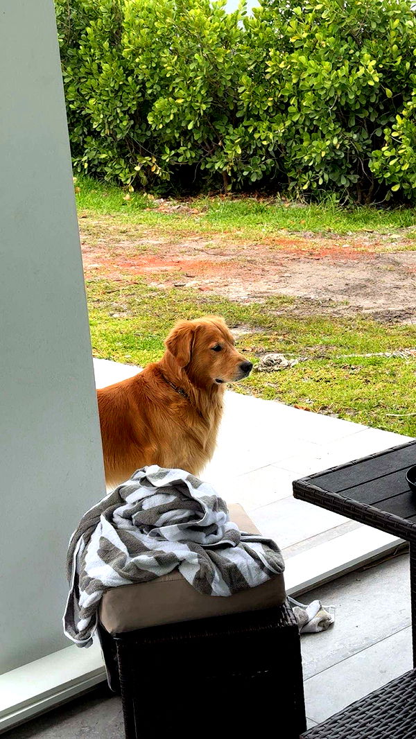 onlygracexrayne image ~ Altpins