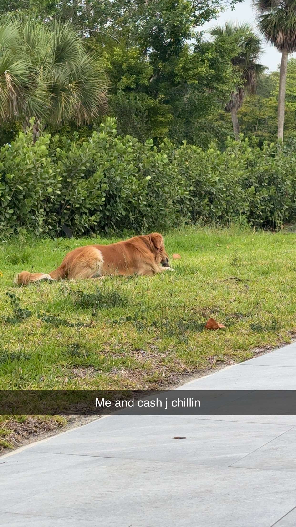 onlygracexrayne snapchat image archive image