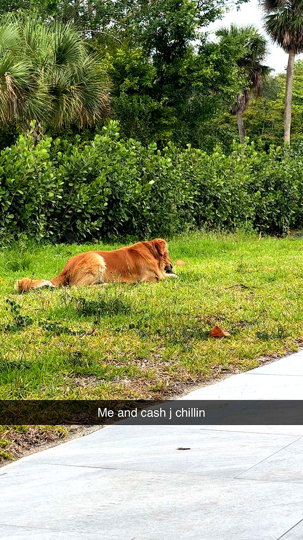 onlygracexrayne image ~ Altpins