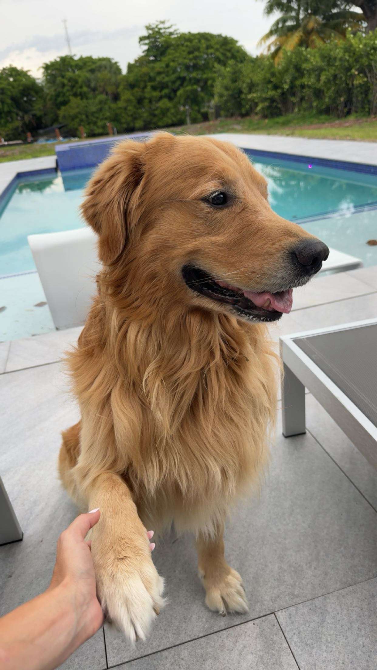 onlygracexrayne snapchat image archive image