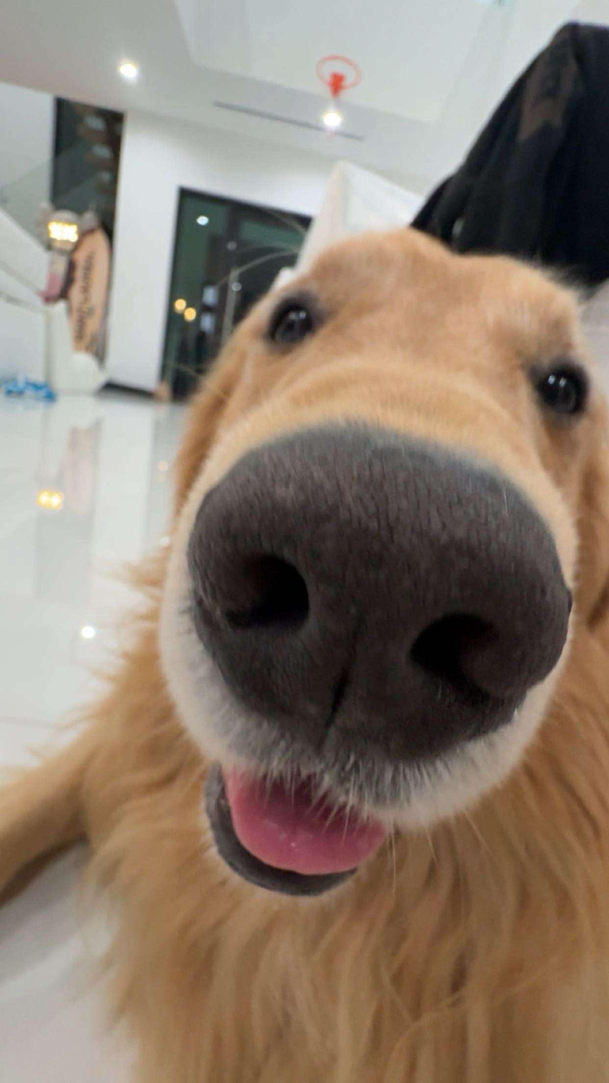 onlygracexrayne snapchat image archive image