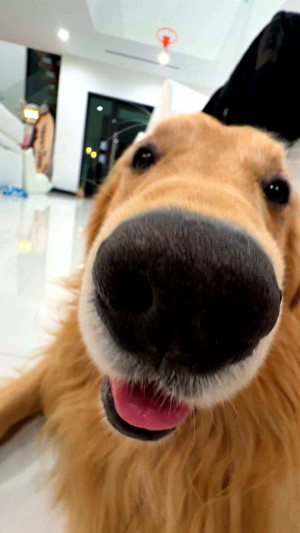 onlygracexrayne image ~ Altpins