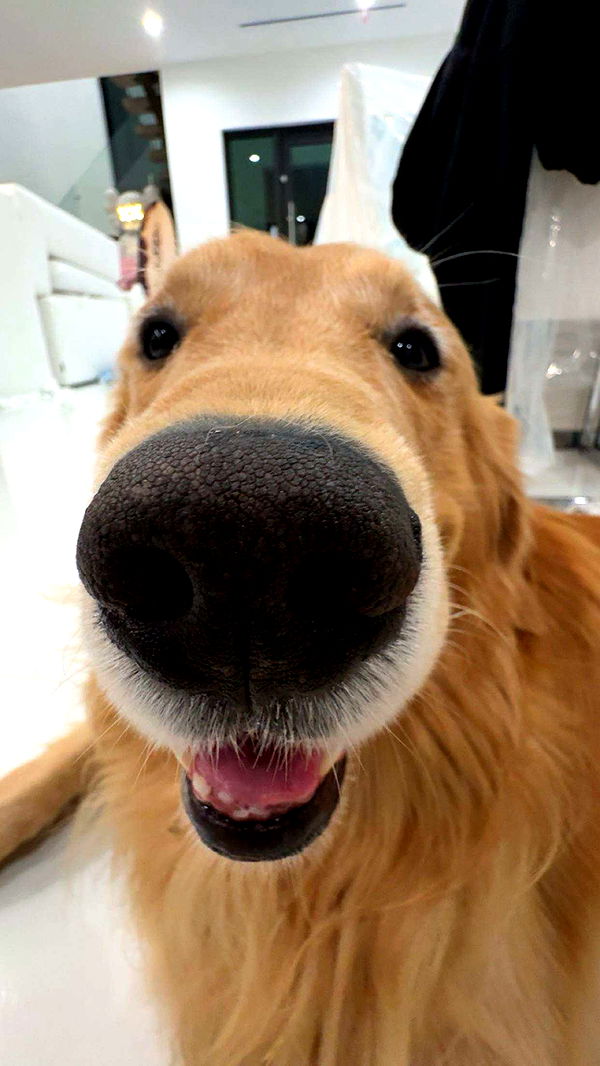 onlygracexrayne image ~ Altpins