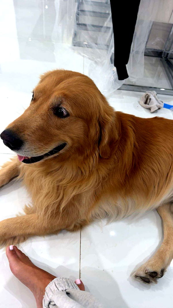 onlygracexrayne image ~ Altpins