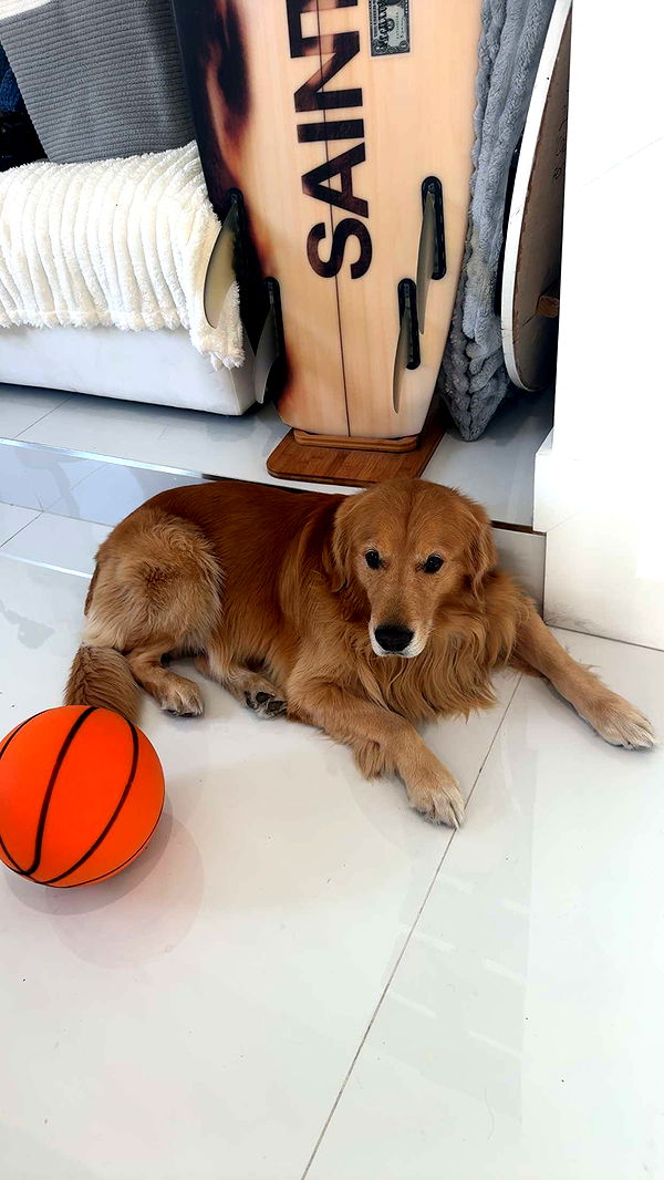 onlygracexrayne image ~ Altpins