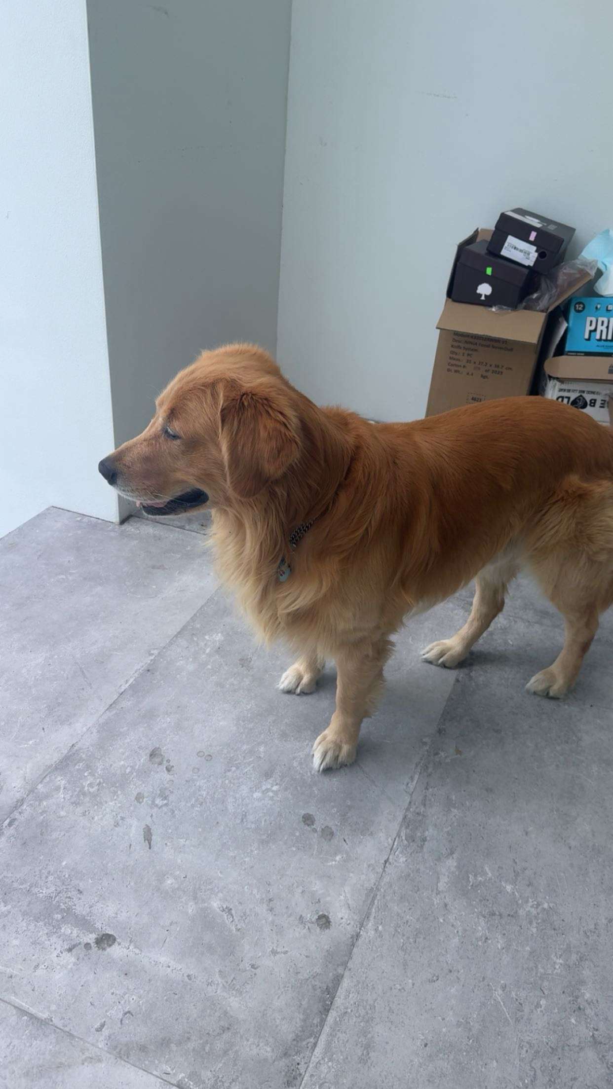 onlygracexrayne snapchat image archive image