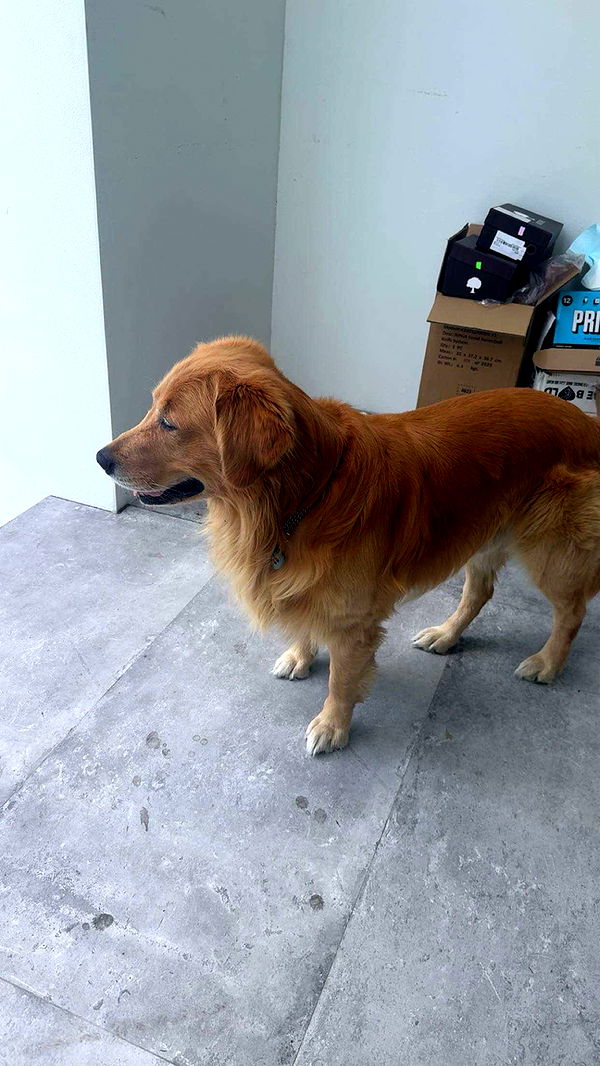 onlygracexrayne image ~ Altpins