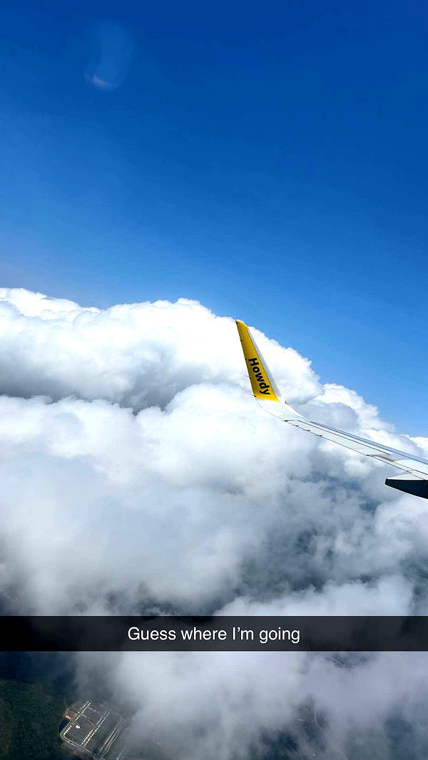 onlygracexrayne image ~ Altpins