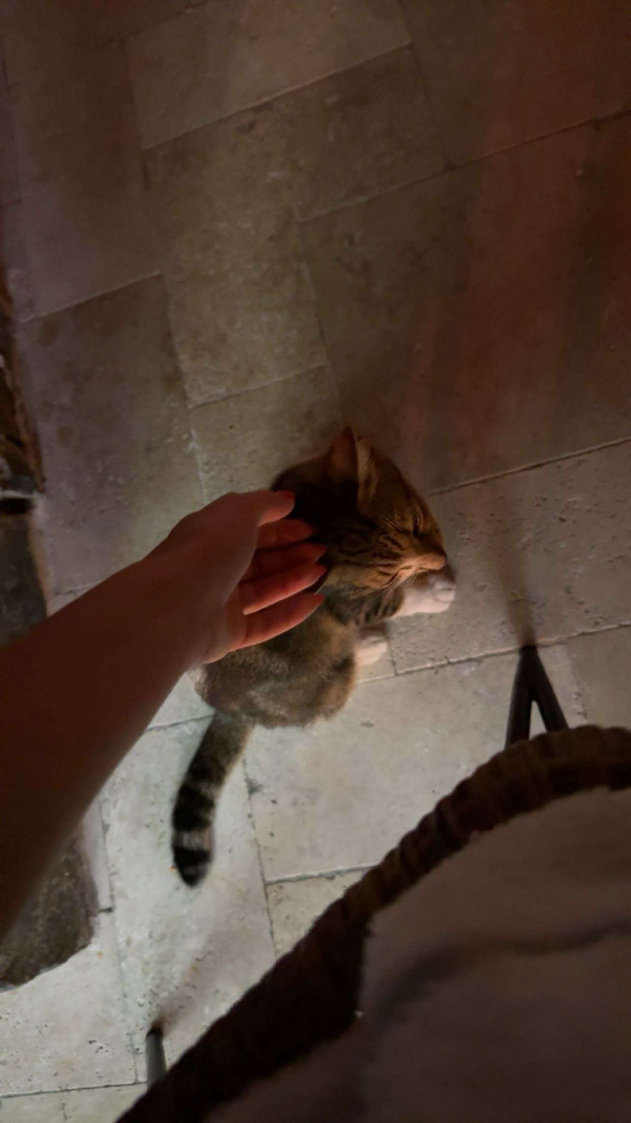 onlygracexrayne snapchat image archive image