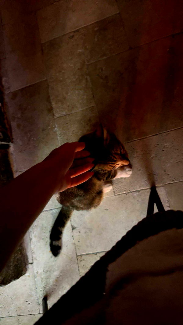 onlygracexrayne image ~ Altpins