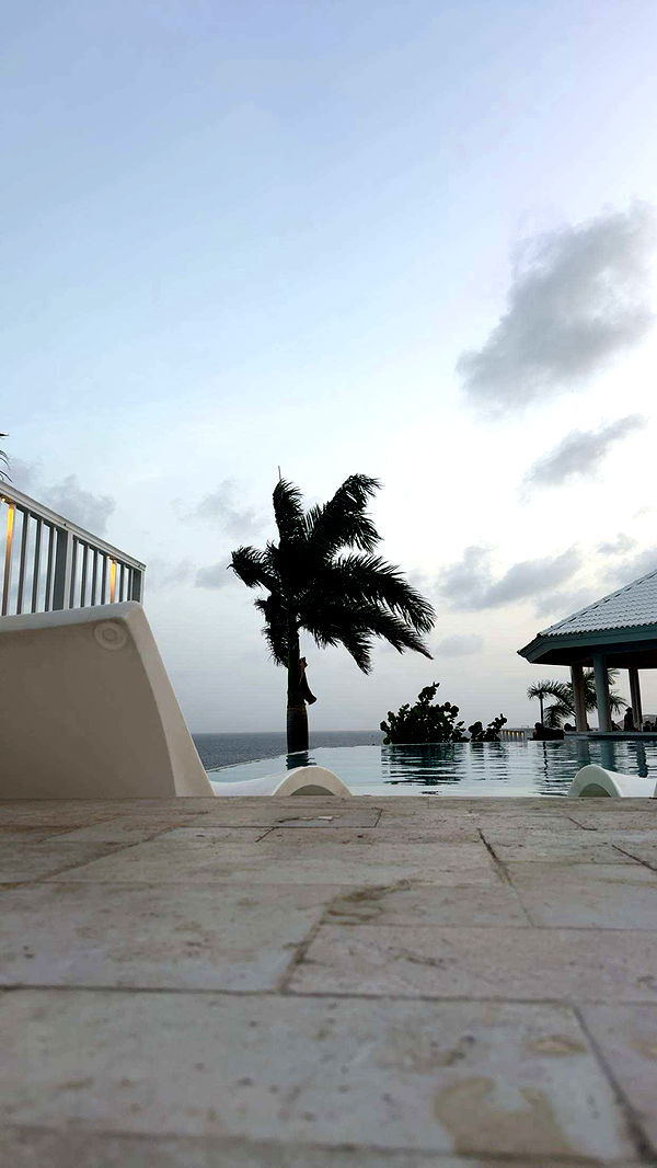 onlygracexrayne image ~ Altpins