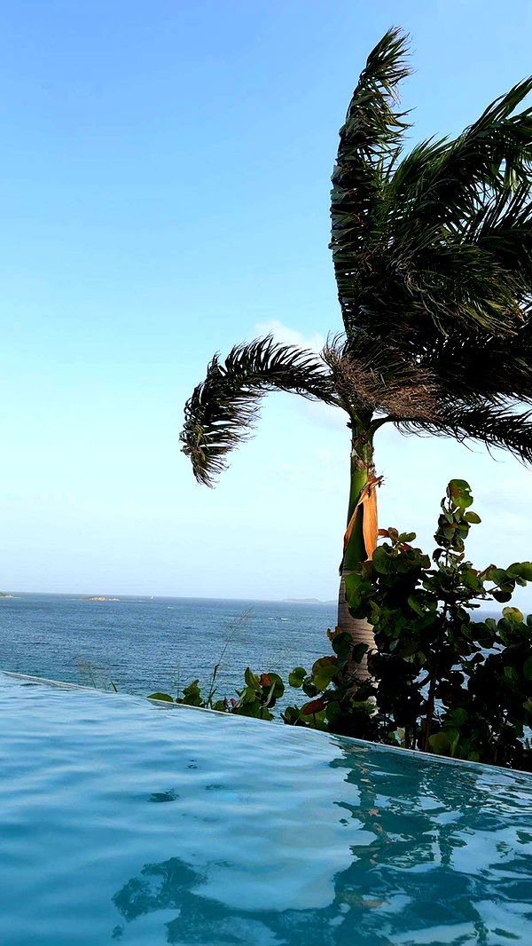 onlygracexrayne image ~ Altpins