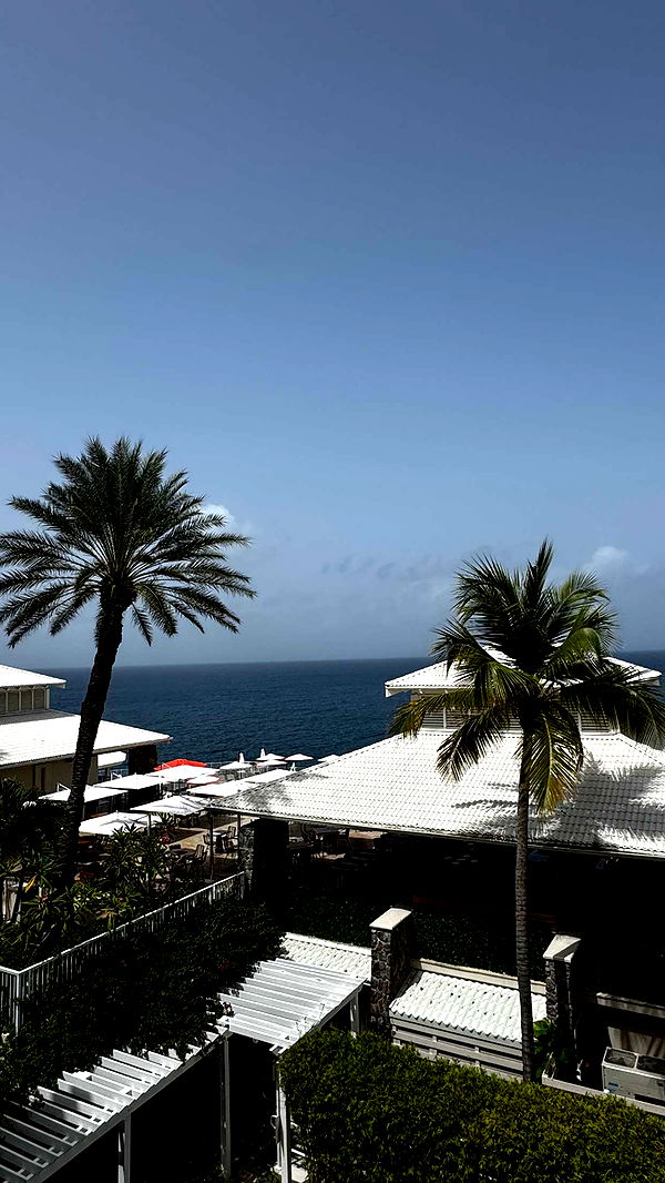 onlygracexrayne image ~ Altpins