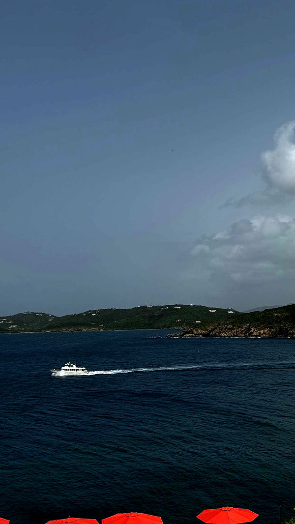 onlygracexrayne image ~ Altpins