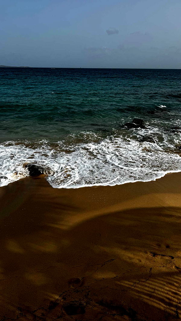 onlygracexrayne image ~ Altpins